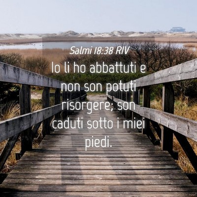 Picture 04 - Salmi 18:38 RIV - Io li ho abbattuti e non son potuti risorgere; - Bible Verse Picture