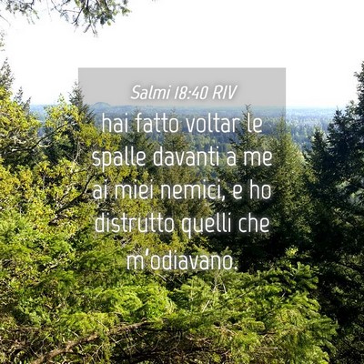 Picture 04 - Salmi 18:40 RIV - hai fatto voltar le spalle davanti a me ai miei - Bible Verse Picture