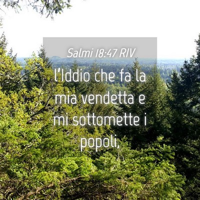 Picture 04 - Salmi 18:47 RIV - l’Iddio che fa la mia vendetta e mi sottomette - Bible Verse Picture