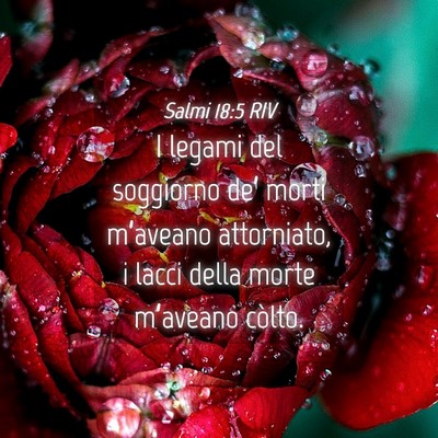 Picture 04 - Salmi 18:5 RIV - I legami del soggiorno de’ morti m’aveano - Bible Verse Picture