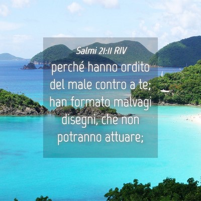 Picture 04 - Salmi 21:11 RIV - perché hanno ordito del male contro a te; han - Bible Verse Picture
