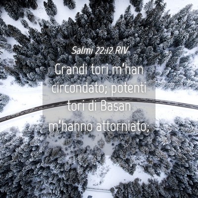 Picture 04 - Salmi 22:12 RIV - Grandi tori m’han circondato; potenti tori di - Bible Verse Picture