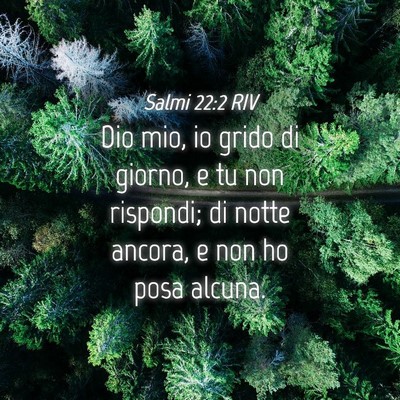 Picture 04 - Salmi 22:2 RIV - Dio mio, io grido di giorno, e tu non rispondi; - Bible Verse Picture