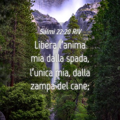 Picture 04 - Salmi 22:20 RIV - Libera l’anima mia dalla spada, l’unica mia, - Bible Verse Picture