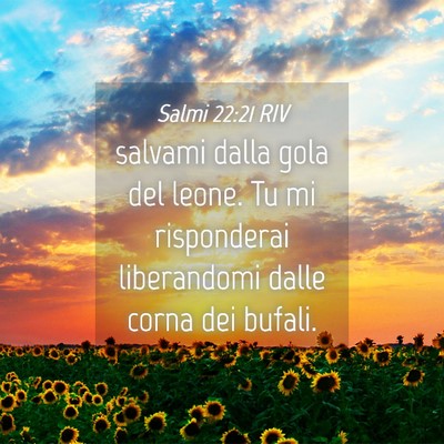 Picture 04 - Salmi 22:21 RIV - salvami dalla gola del leone. Tu mi risponderai - Bible Verse Picture