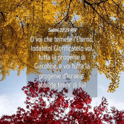 Picture 04 - Salmi 22:23 RIV - O voi che temete l’Eterno, lodatelo! - Bible Verse Picture