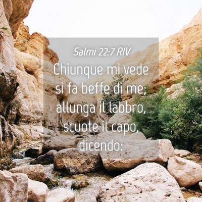 Picture 04 - Salmi 22:7 RIV - Chiunque mi vede si fa beffe di me; allunga il - Bible Verse Picture