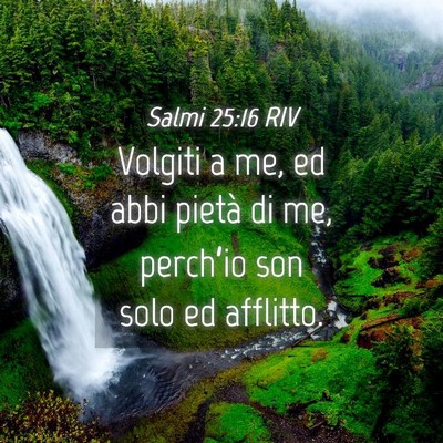 Picture 04 - Salmi 25:16 RIV - Volgiti a me, ed abbi pietà di me, perch’io - Bible Verse Picture