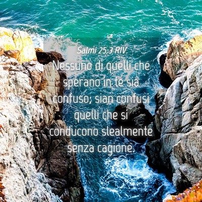 Picture 04 - Salmi 25:3 RIV - Nessuno di quelli che sperano in te sia confuso; - Bible Verse Picture