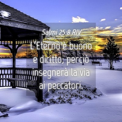 Picture 04 - Salmi 25:8 RIV - L’Eterno è buono e diritto; perciò insegnerà - Bible Verse Picture