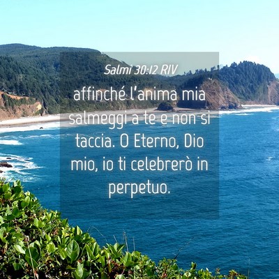 Picture 04 - Salmi 30:12 RIV - affinché l’anima mia salmeggi a te e non si - Bible Verse Picture