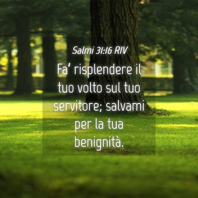 Picture 04 - Salmi 31:16 RIV - Fa’ risplendere il tuo volto sul tuo servitore; - Bible Verse Picture