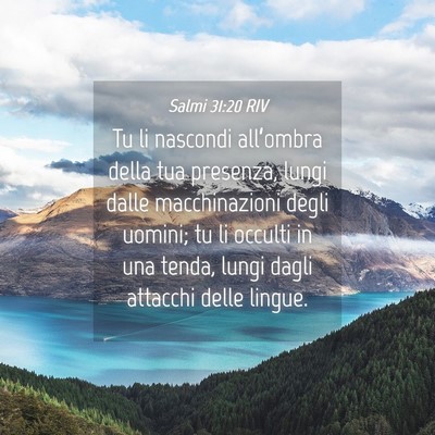 Picture 04 - Salmi 31:20 RIV - Tu li nascondi all’ombra della tua presenza, - Bible Verse Picture