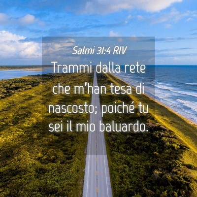 Picture 04 - Salmi 31:4 RIV - Trammi dalla rete che m’han tesa di nascosto; - Bible Verse Picture