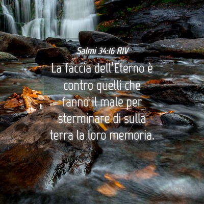 Picture 04 - Salmi 34:16 RIV - La faccia dell’Eterno è contro quelli che - Bible Verse Picture