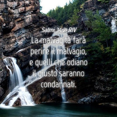 Picture 04 - Salmi 34:21 RIV - La malvagità farà perire il malvagio, e quelli - Bible Verse Picture
