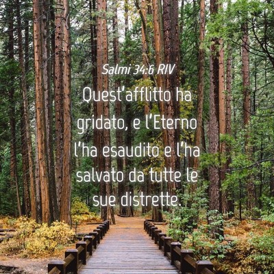 Picture 04 - Salmi 34:6 RIV - Quest’afflitto ha gridato, e l’Eterno l’ha - Bible Verse Picture