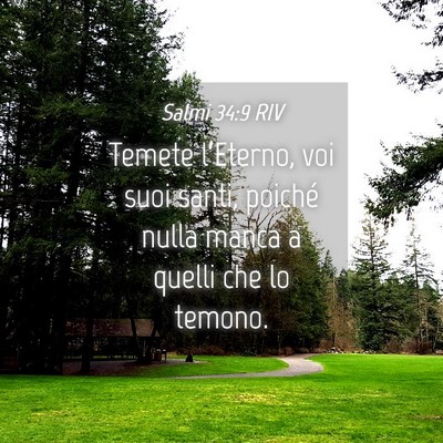 Picture 04 - Salmi 34:9 RIV - Temete l’Eterno, voi suoi santi, poiché nulla - Bible Verse Picture
