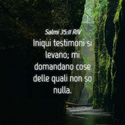 Picture 04 - Salmi 35:11 RIV - Iniqui testimoni si levano; mi domandano cose - Bible Verse Picture