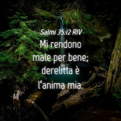 Picture 04 - Salmi 35:12 RIV - Mi rendono male per bene; derelitta è l’anima - Bible Verse Picture