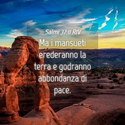 Picture 04 - Salmi 37:11 RIV - Ma i mansueti erederanno la terra e godranno - Bible Verse Picture