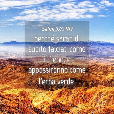 Picture 04 - Salmi 37:2 RIV - perché saran di subito falciati come il fieno, e - Bible Verse Picture