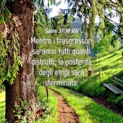 Picture 04 - Salmi 37:38 RIV - Mentre i trasgressori saranno tutti quanti - Bible Verse Picture