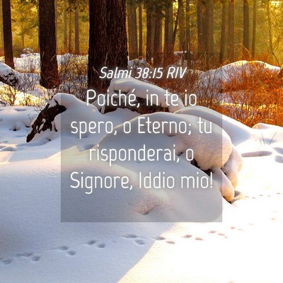 Picture 04 - Salmi 38:15 RIV - Poiché, in te io spero, o Eterno; tu - Bible Verse Picture