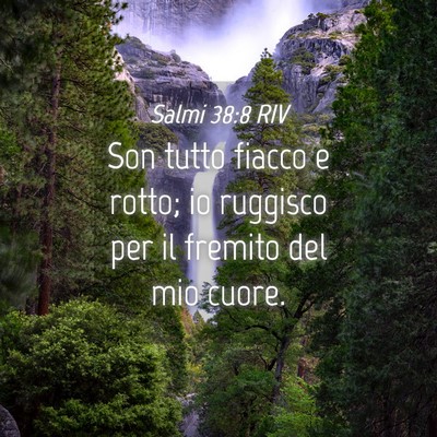Picture 04 - Salmi 38:8 RIV - Son tutto fiacco e rotto; io ruggisco per il - Bible Verse Picture