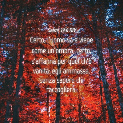 Picture 04 - Salmi 39:6 RIV - Certo, l’uomo va e viene come un’ombra; - Bible Verse Picture