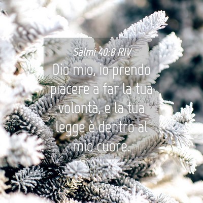 Picture 04 - Salmi 40:8 RIV - Dio mio, io prendo piacere a far la tua volontà, - Bible Verse Picture