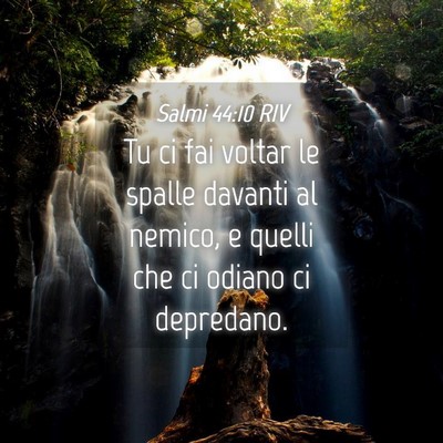 Picture 04 - Salmi 44:10 RIV - Tu ci fai voltar le spalle davanti al nemico, e - Bible Verse Picture