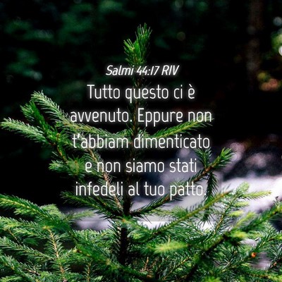 Picture 04 - Salmi 44:17 RIV - Tutto questo ci è avvenuto. Eppure non - Bible Verse Picture