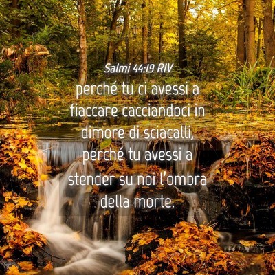 Picture 04 - Salmi 44:19 RIV - perché tu ci avessi a fiaccare cacciandoci in - Bible Verse Picture