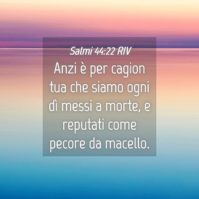 Picture 04 - Salmi 44:22 RIV - Anzi è per cagion tua che siamo ogni dì messi a - Bible Verse Picture
