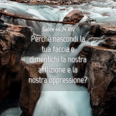 Picture 04 - Salmi 44:24 RIV - Perché nascondi la tua faccia e dimentichi la - Bible Verse Picture