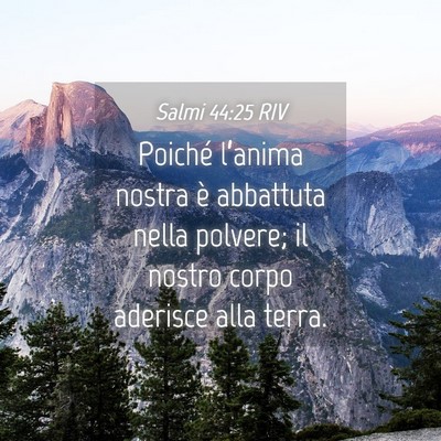 Picture 04 - Salmi 44:25 RIV - Poiché l’anima nostra è abbattuta nella - Bible Verse Picture