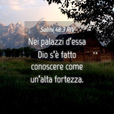 Picture 04 - Salmi 48:3 RIV - Nei palazzi d’essa Dio s’è fatto conoscere - Bible Verse Picture