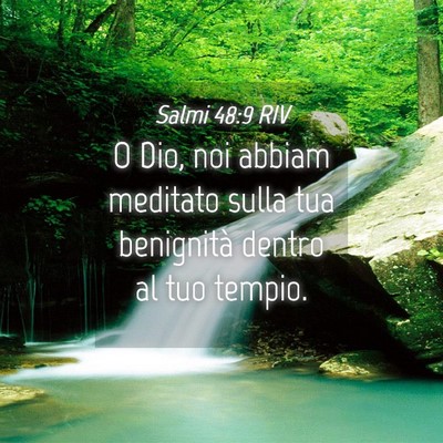 Picture 04 - Salmi 48:9 RIV - O Dio, noi abbiam meditato sulla tua benignità - Bible Verse Picture