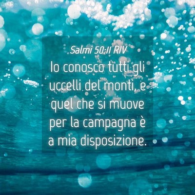 Picture 04 - Salmi 50:11 RIV - Io conosco tutti gli uccelli del monti, e quel - Bible Verse Picture