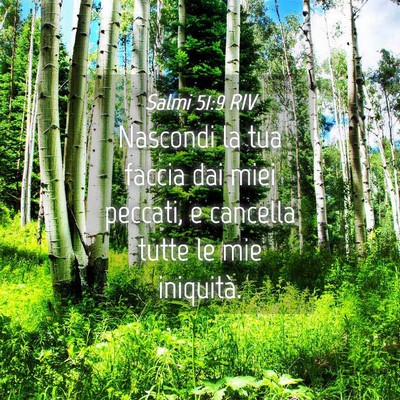 Picture 04 - Salmi 51:9 RIV - Nascondi la tua faccia dai miei peccati, e - Bible Verse Picture