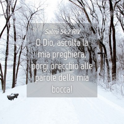 Picture 04 - Salmi 54:2 RIV - O Dio, ascolta la mia preghiera, porgi orecchio - Bible Verse Picture