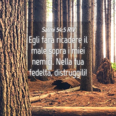 Picture 04 - Salmi 54:5 RIV - Egli farà ricadere il male sopra i miei nemici. - Bible Verse Picture