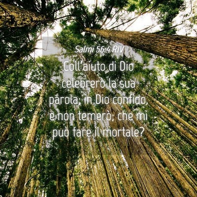Picture 04 - Salmi 56:4 RIV - Coll’aiuto di Dio celebrerò la sua parola; in - Bible Verse Picture