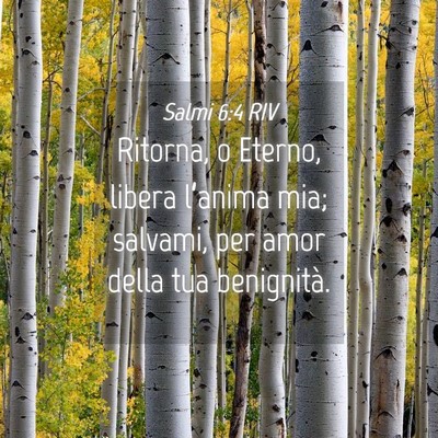 Picture 04 - Salmi 6:4 RIV - Ritorna, o Eterno, libera l’anima mia; salvami, - Bible Verse Picture