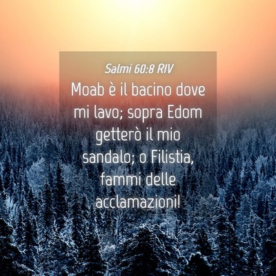 Picture 04 - Salmi 60:8 RIV - Moab è il bacino dove mi lavo; sopra Edom - Bible Verse Picture
