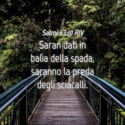 Picture 04 - Salmi 63:10 RIV - Saran dati in balìa della spada, saranno la - Bible Verse Picture
