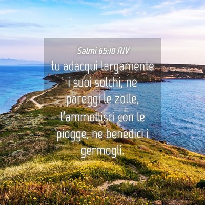 Picture 04 - Salmi 65:10 RIV - tu adacqui largamente i suoi solchi, ne pareggi - Bible Verse Picture