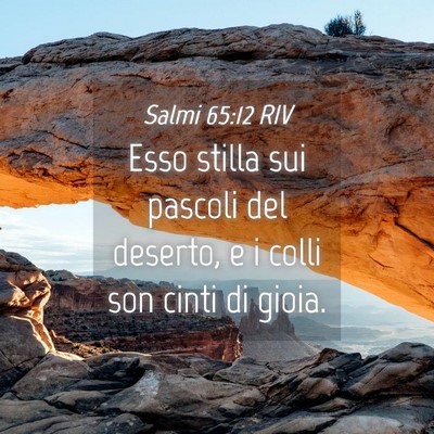 Picture 04 - Salmi 65:12 RIV - Esso stilla sui pascoli del deserto, e i colli - Bible Verse Picture