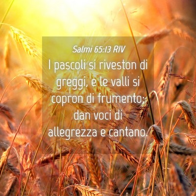 Picture 04 - Salmi 65:13 RIV - I pascoli si riveston di greggi, e le valli si - Bible Verse Picture